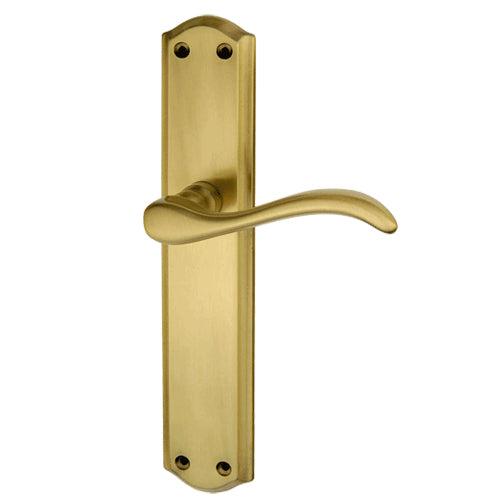 Brass oval plate handle