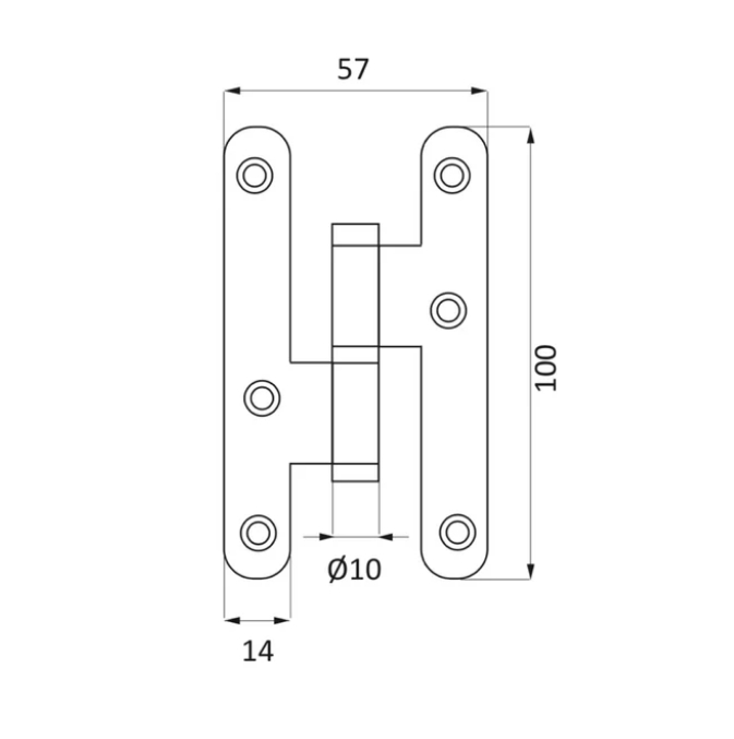 Shiny Brass Hinge